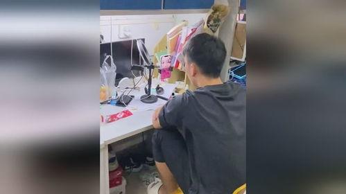 一人吃一瓜视频,揭秘瓜果美食的独特魅力