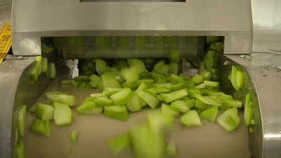 吃佛手瓜会得病吗视频,揭秘吃佛手瓜是否会引发疾病