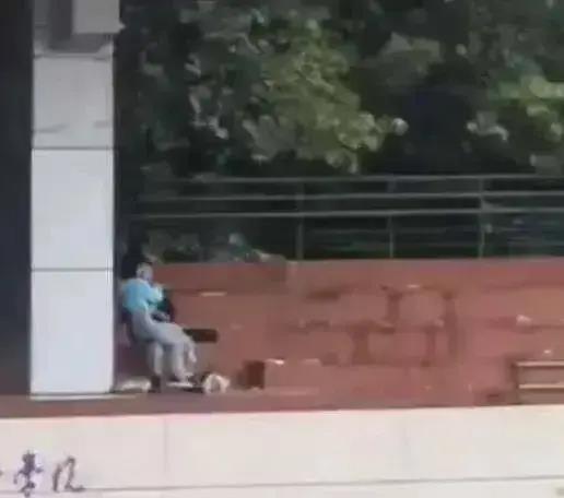 女子拍摄学院 吃瓜视频,揭秘校园生活幕后真相