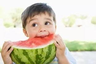 吃瓜儿子无视爸爸视频下载,视频下载引发家庭风波