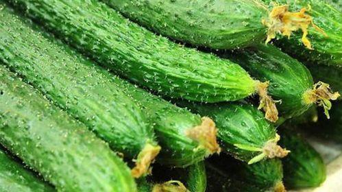 吃白瓜的小妙招视频大全,视频大全揭秘美味小妙招