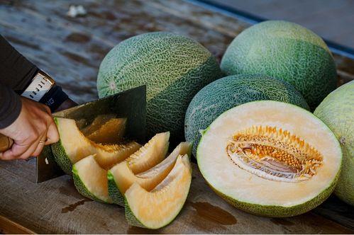 美国人吃蜜瓜视频大全集,视频大全集带你领略甜蜜诱惑