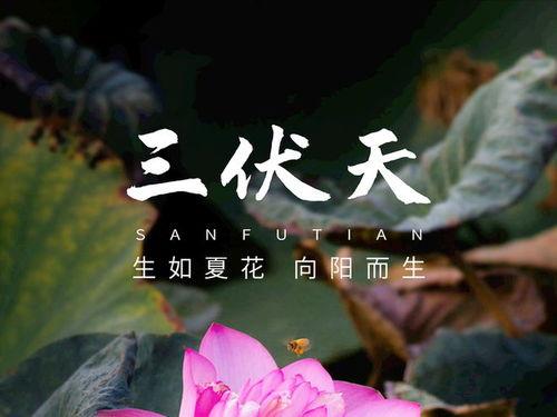 7月2日吃瓜合集视频在线观看,精彩瞬间一网打尽