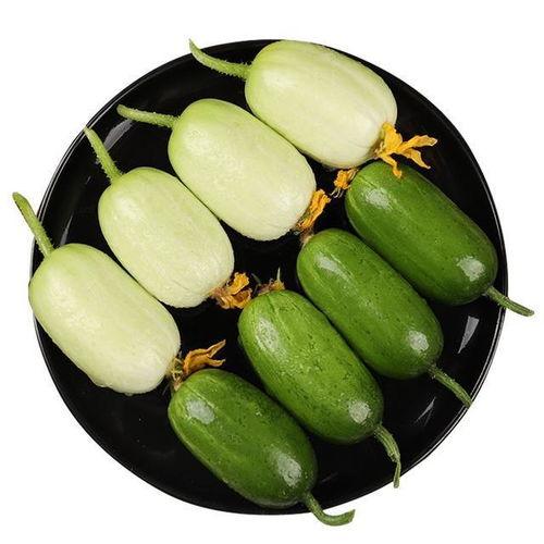 小水瓜怎么吃最好吃视频,视频教你如何吃出最佳口感