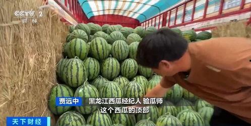 黑龙江吃瓜视频12,揭秘当地特色美食与风土人情