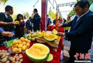 中国餐饮吃瓜事件视频,一场网络热议的美食风波揭秘