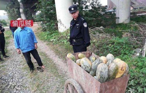 莱芜人吃瓜事件视频最新,一场网络狂欢背后的真相与反思