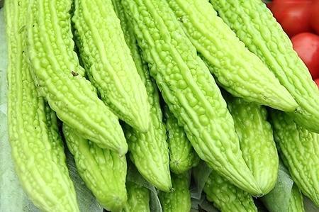 臭瓜叶子可以吃吗视频,可食用之谜，视频带你一探究竟