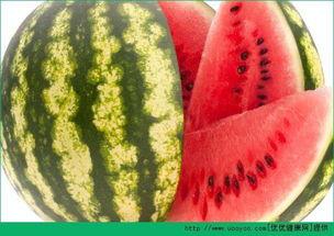 不要老看吃瓜视频,拥抱更有深度的生活