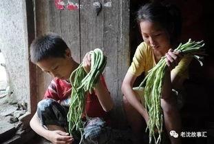 河北姐弟吃瓜视频大全集,揭秘网络热传的趣味瞬间