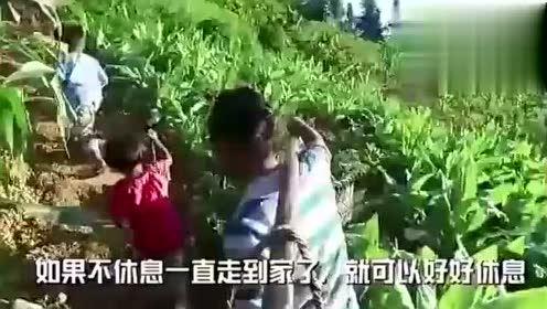 河北姐弟吃瓜视频大全集,揭秘网络热传的趣味瞬间